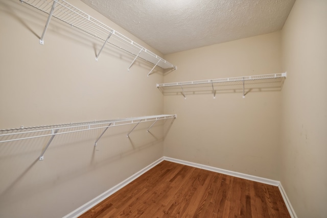 walk in closet with wood-type flooring