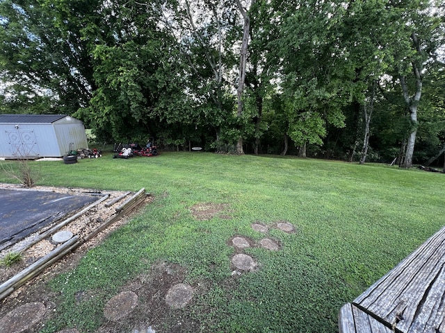 view of yard with a storage unit