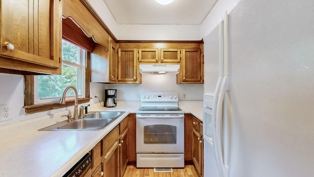 kitchen featuring sink, white appliances, and light hardwood / wood-style floors