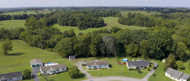 bird's eye view