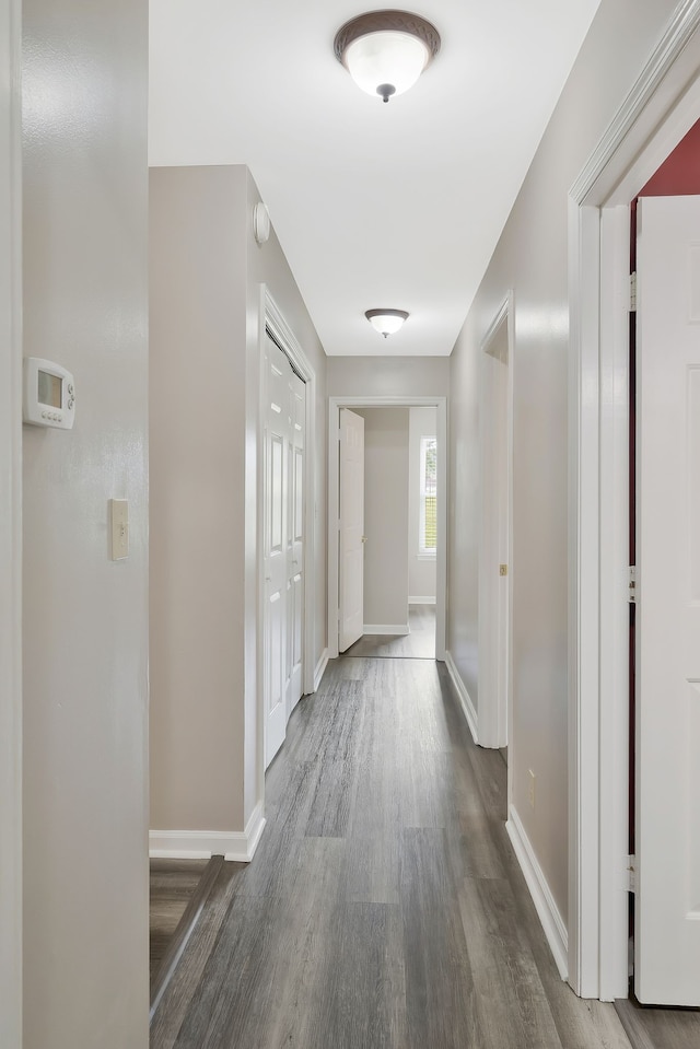 hall featuring hardwood / wood-style floors