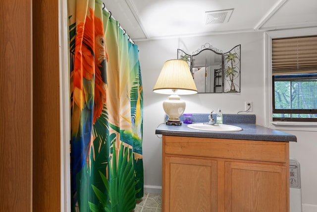 bathroom with visible vents and vanity