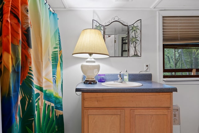 bathroom with visible vents and vanity