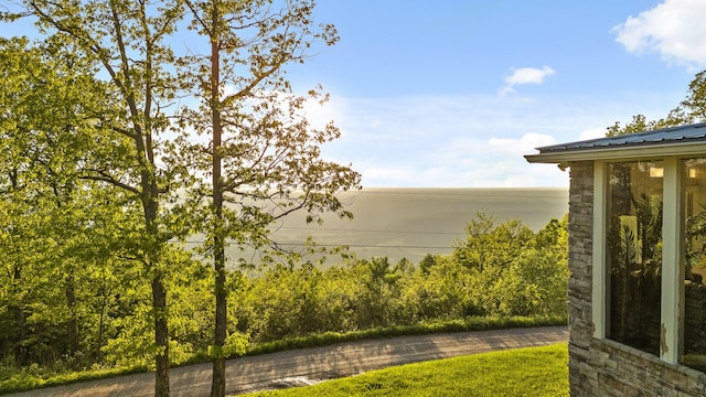 view of water feature