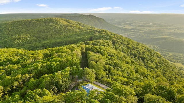 bird's eye view featuring a mountain view and a forest view