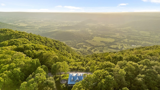 bird's eye view with a forest view