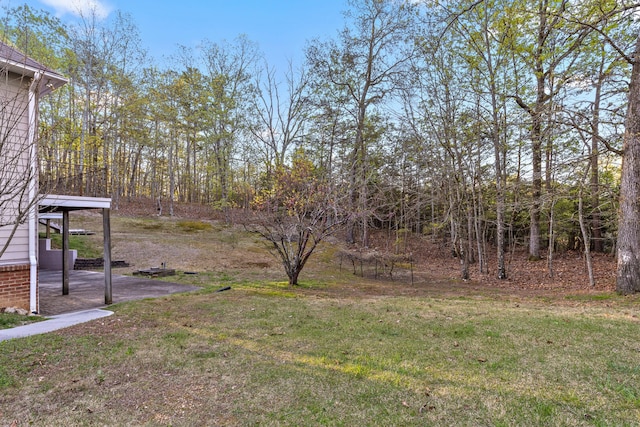 view of yard featuring a patio