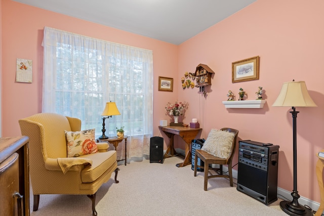 office area featuring light carpet