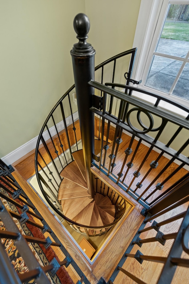 staircase with wood-type flooring