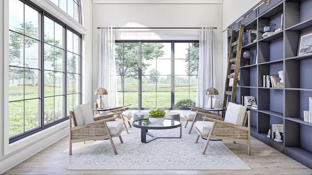 interior space featuring hardwood / wood-style floors and a wealth of natural light