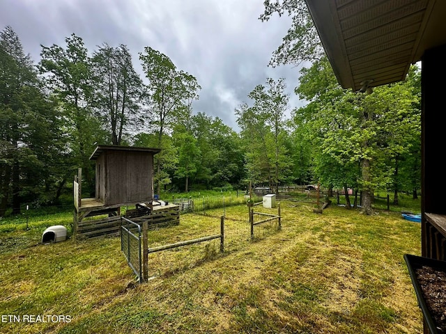 view of yard featuring a storage unit