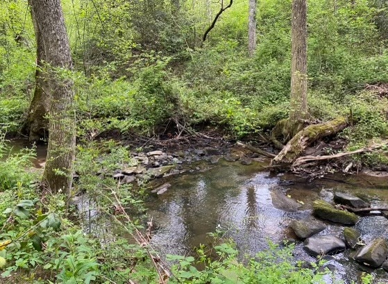 view of nature with a water view