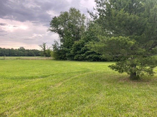 view of yard at dusk