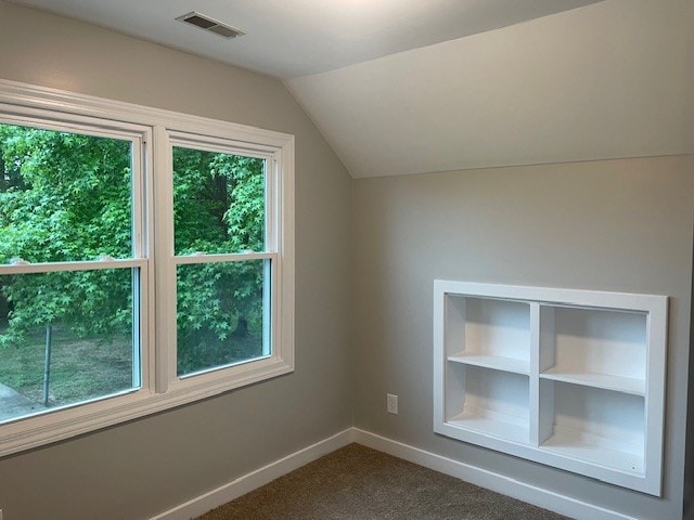 bonus room featuring a healthy amount of sunlight, built in features, lofted ceiling, and carpet flooring