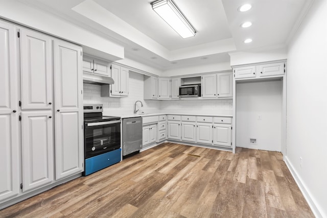 kitchen featuring a tray ceiling, sink, white cabinetry, and appliances with stainless steel finishes