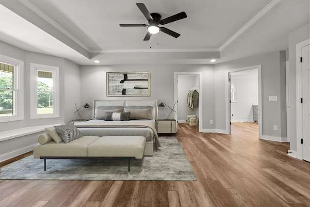 bedroom with hardwood / wood-style floors, a walk in closet, ornamental molding, ceiling fan, and a tray ceiling