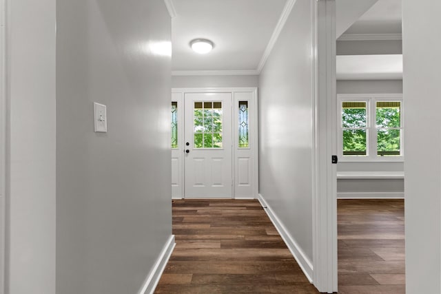 doorway featuring a wealth of natural light, ornamental molding, and dark hardwood / wood-style flooring