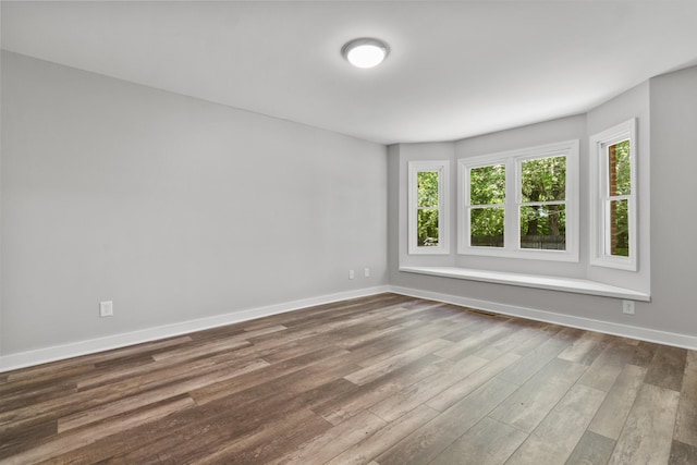 empty room featuring wood-type flooring