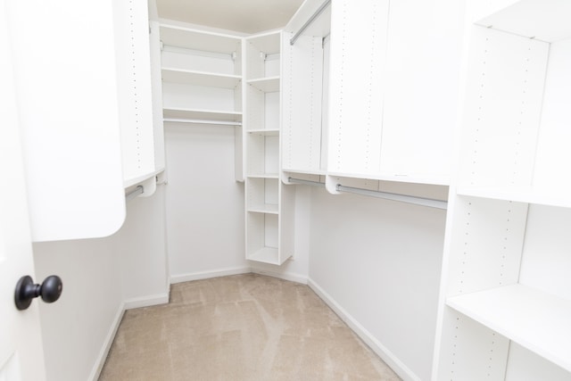 spacious closet featuring light colored carpet