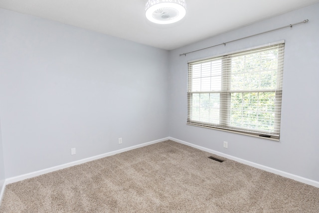 spare room with carpet floors