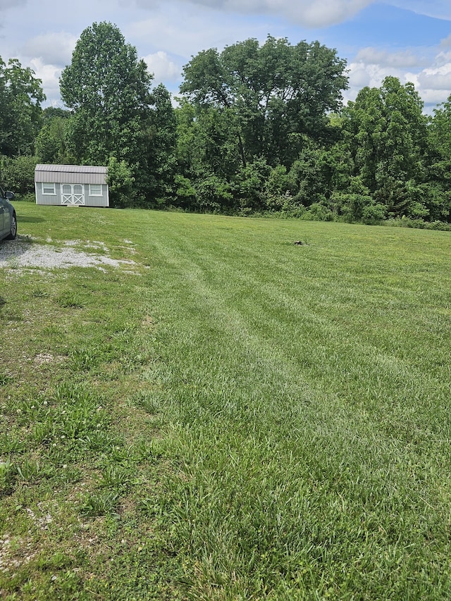 view of yard with an outdoor structure