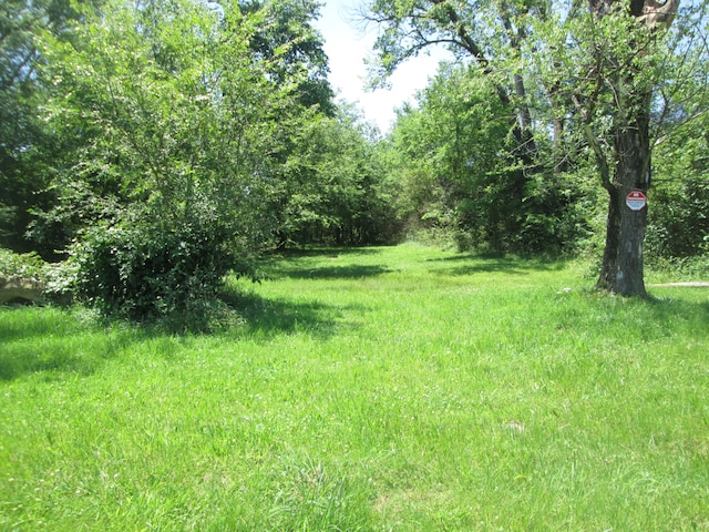 110 E Adams Ave, Lebanon TN, 37087 land for sale