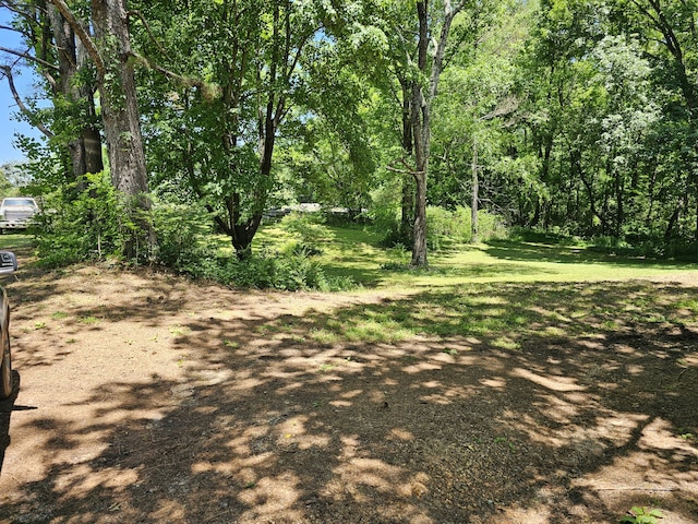 view of local wilderness