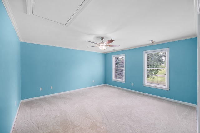 unfurnished room with carpet, ornamental molding, and ceiling fan