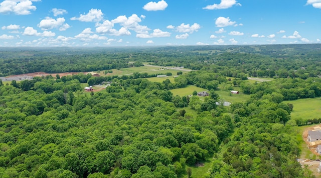 view of bird's eye view