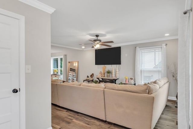 living room with ceiling fan, ornamental molding, and light hardwood / wood-style floors