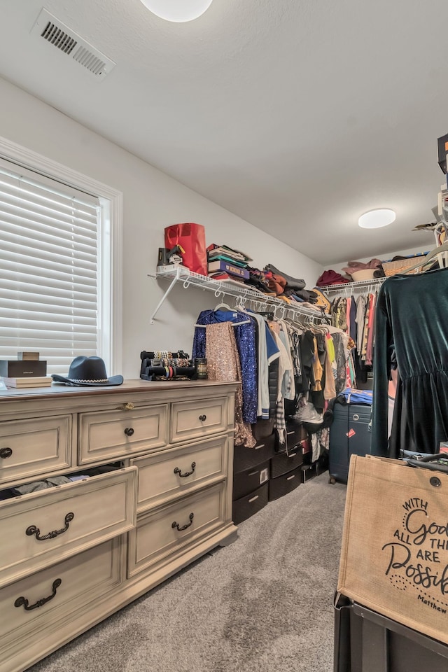 spacious closet with carpet flooring