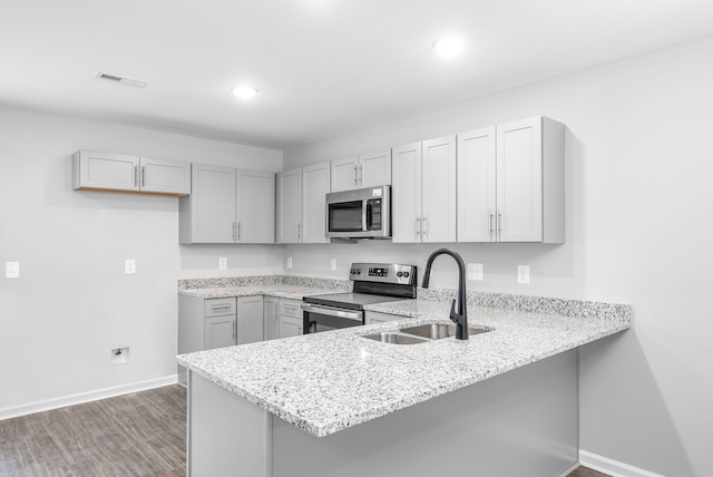 kitchen with appliances with stainless steel finishes, wood-type flooring, sink, light stone counters, and kitchen peninsula