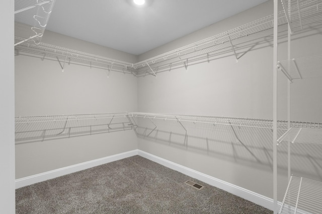 walk in closet with carpet flooring