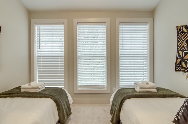 bedroom featuring carpet flooring and multiple windows