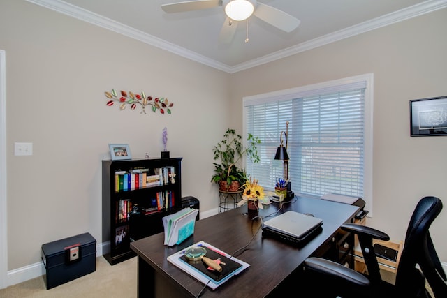 carpeted office space with ceiling fan and ornamental molding