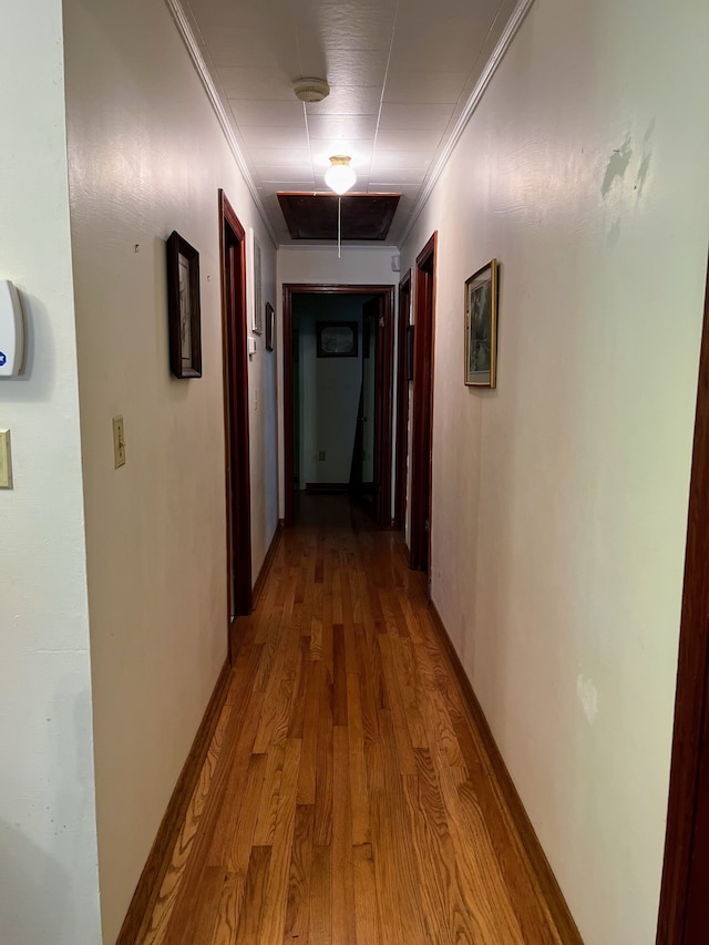 hall with ornamental molding and light hardwood / wood-style floors