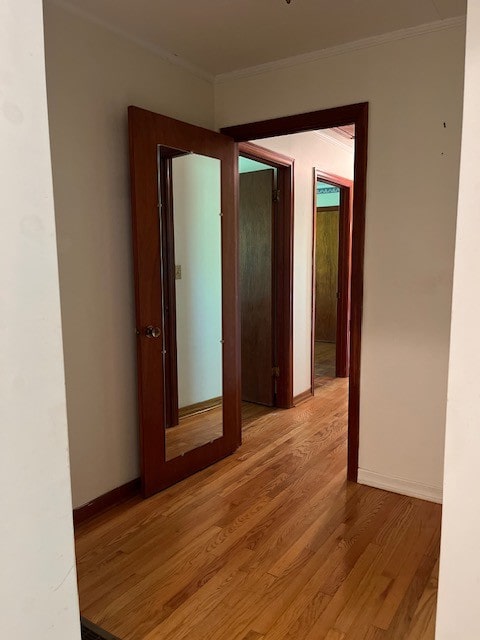 hallway featuring light wood-type flooring and ornamental molding