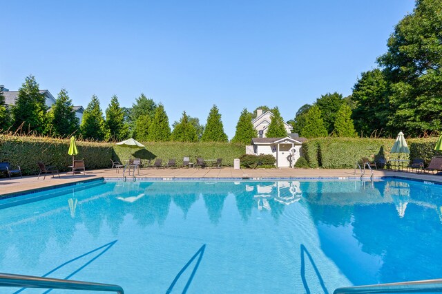 view of pool with a patio