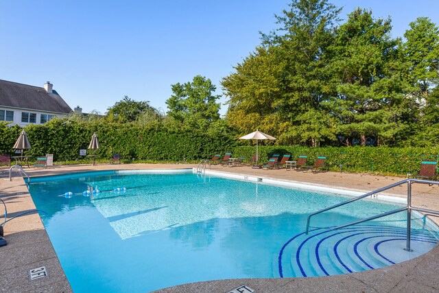 view of swimming pool