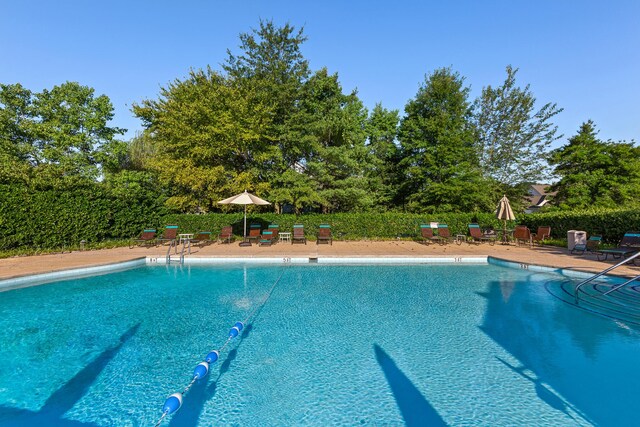 view of swimming pool