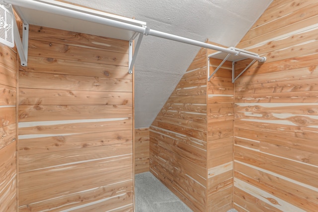 spacious closet featuring lofted ceiling