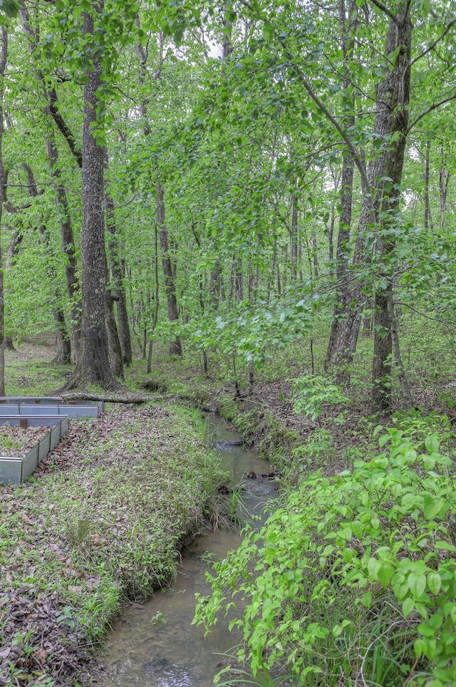 view of local wilderness with a water view