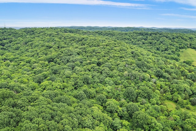 1780 Molly Hollow Rd, Nolensville, TN 37135 - drone / aerial view