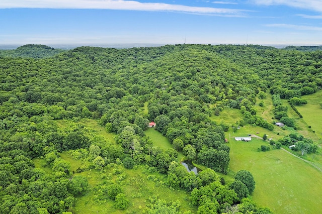 1780 Molly Hollow Rd, Nolensville, TN 37135 - aerial view