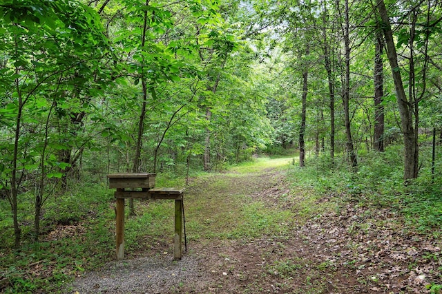 1780 Molly Hollow Rd, Nolensville, TN 37135 - exterior space