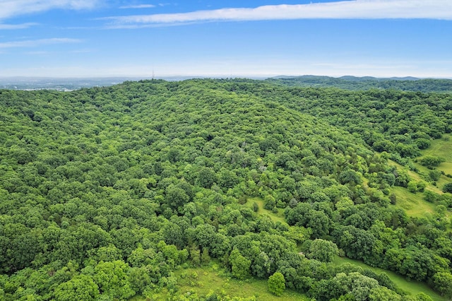 1780 Molly Hollow Rd, Nolensville, TN 37135 - drone / aerial view