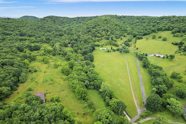 1780 Molly Hollow Rd, Nolensville, TN 37135 - bird's eye view with a rural view