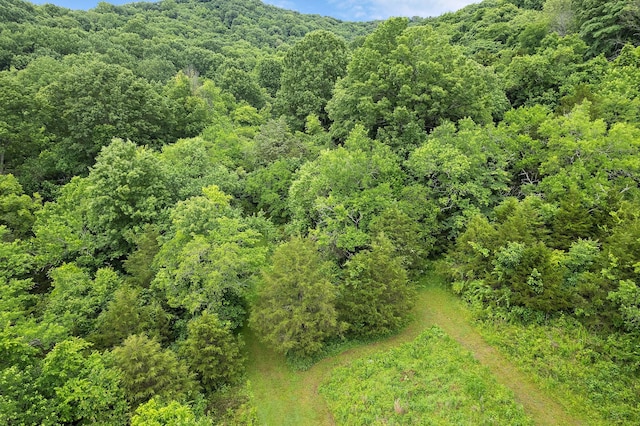 1780 Molly Hollow Rd, Nolensville, TN 37135 - bird's eye view