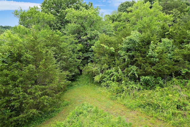 1780 Molly Hollow Rd, Nolensville, TN 37135 - view of landscape