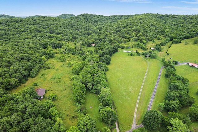 1780 Molly Hollow Rd, Nolensville, TN 37135 - drone / aerial view with a rural view